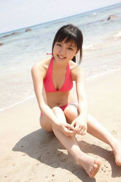 布蕾克-莱弗利
